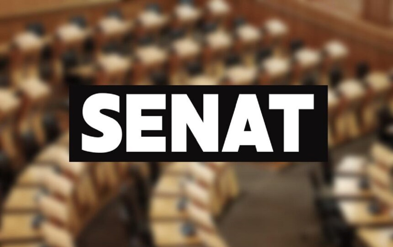 Togo : le Sénat ouvre sa deuxième session extraordinaire de 2026